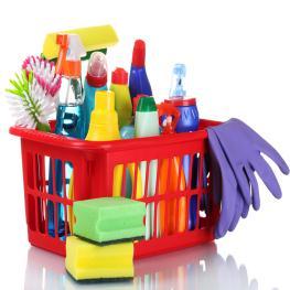 DOĞRU TEMİZLİK GIDA İŞ GÜV. TEKS. VE İNŞ. MALZ. İÇ VE DIŞ TİC. LTD. ŞTİ.