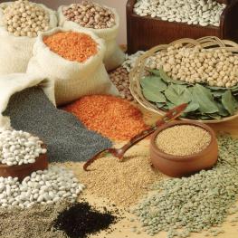 BAKLİYAT
